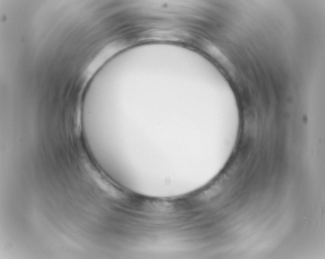 X0000088151370200705291412