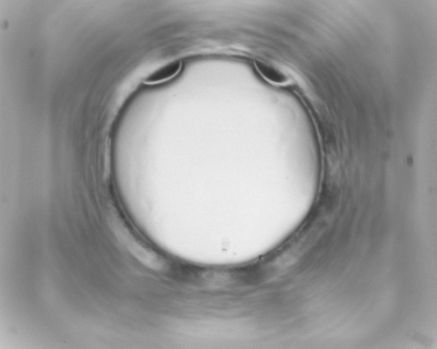 X0000088151371200705291412