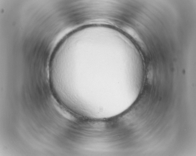 X0000088151372200705291412