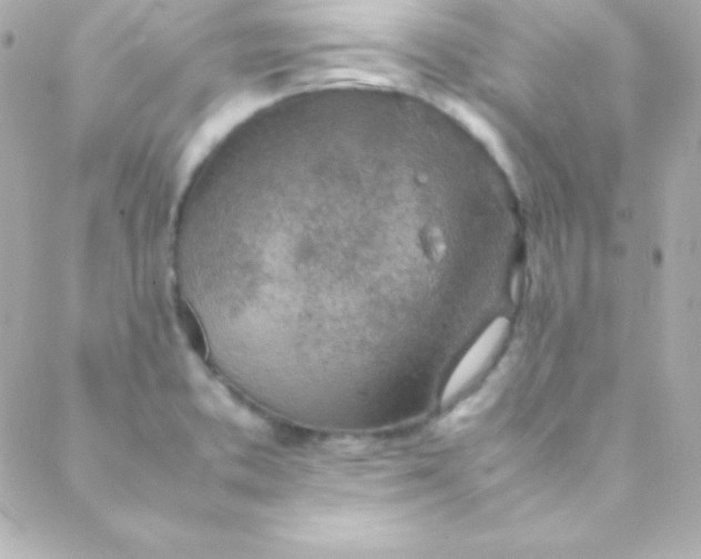 X0000088151373200705291412