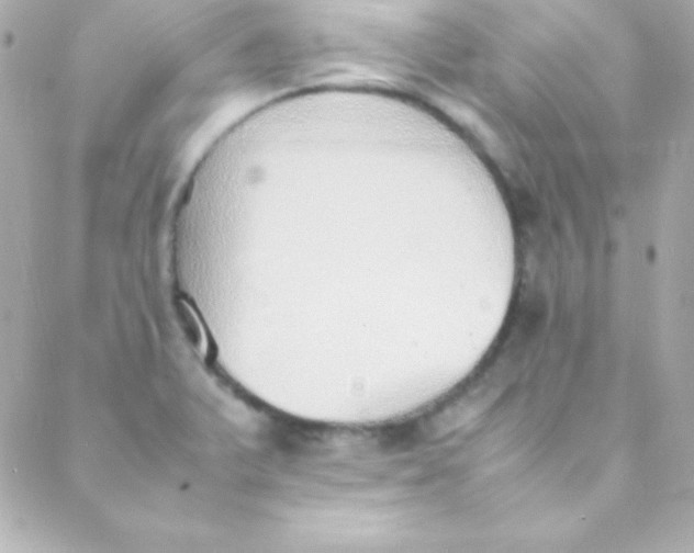 X0000088151375200705291412