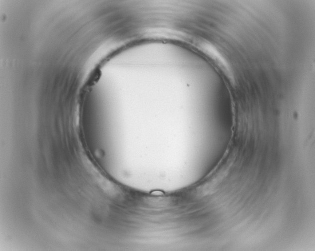 X0000088151376200705291412