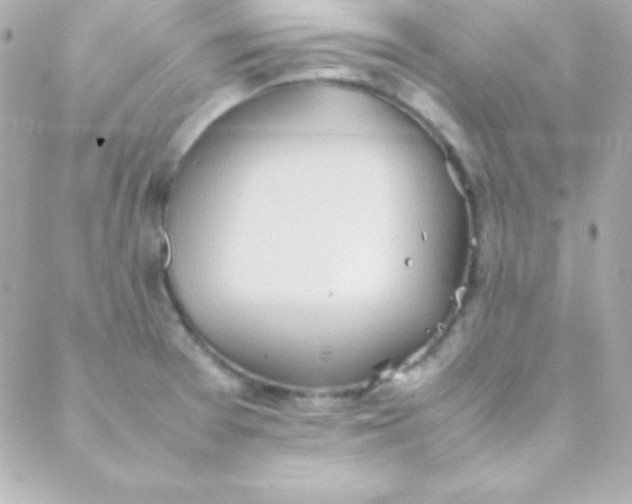 X0000088151377200705291412