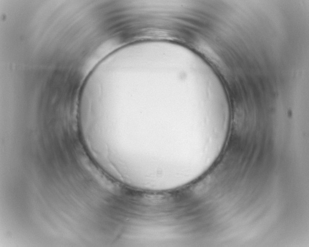 X0000088151378200705291412