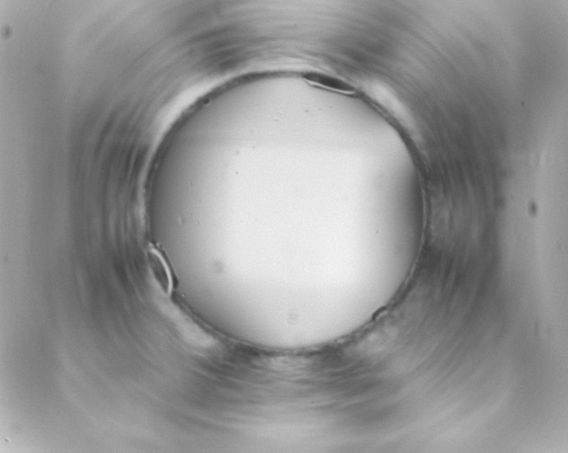 X0000088151380200705291412