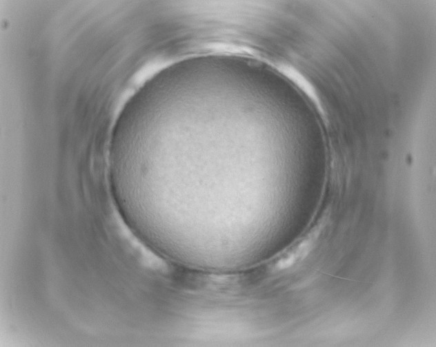 X0000088151381200705291412