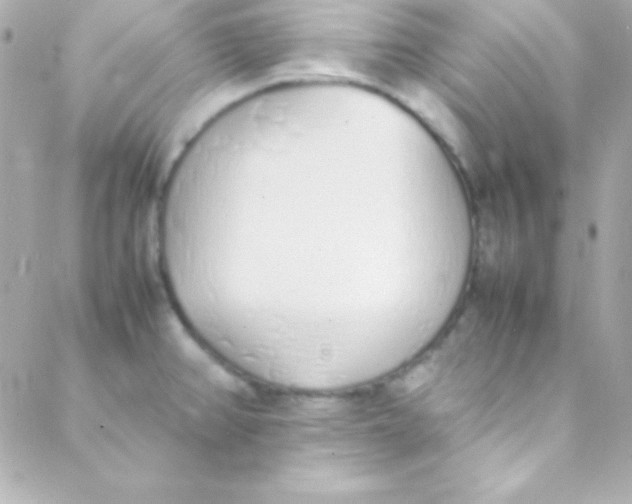 X0000088151382200705291412