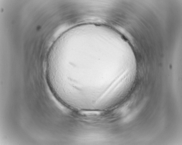 X0000088151383200705291412