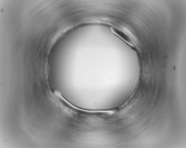 X0000088151384200705291412