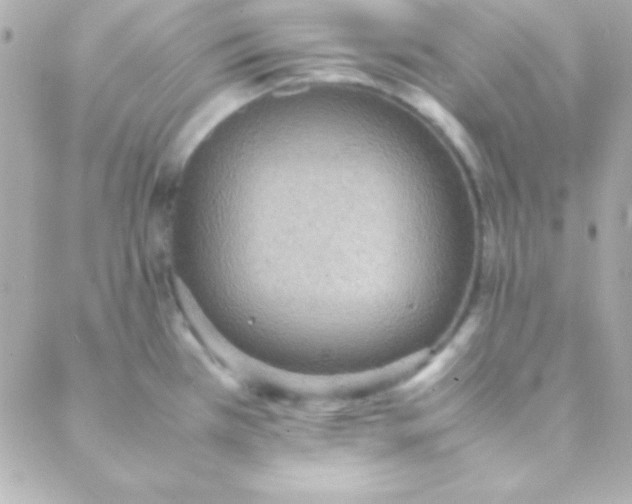 X0000088151385200705291412