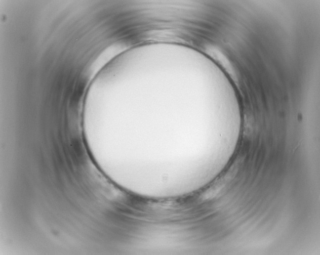 X0000088151386200705291412