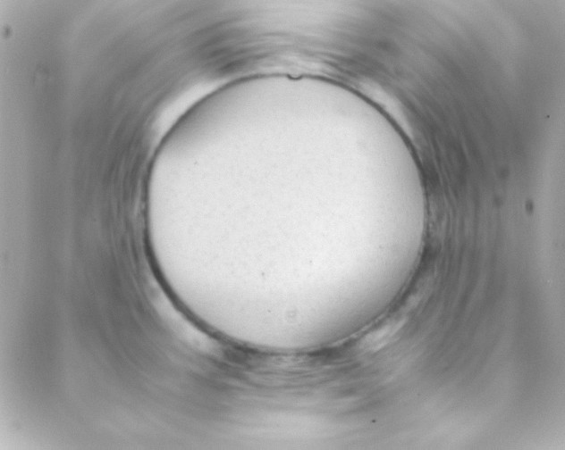 X0000088151387200705291412