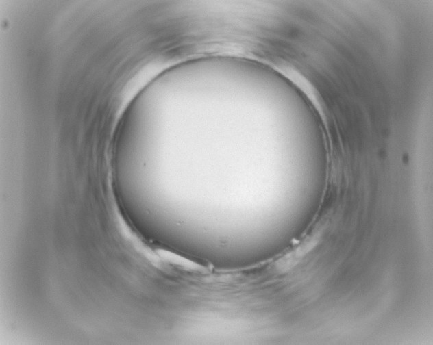 X0000088151389200705291412