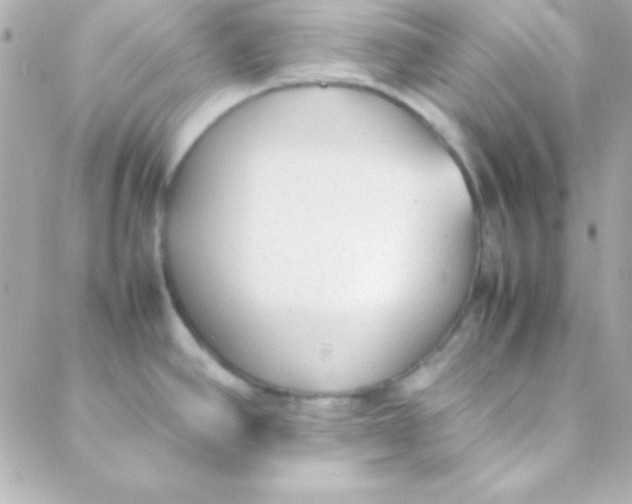 X0000088151390200705291412