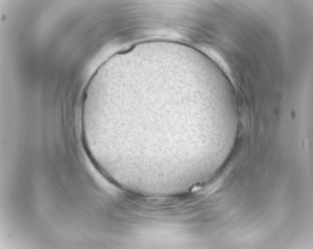 X0000088151391200705291412