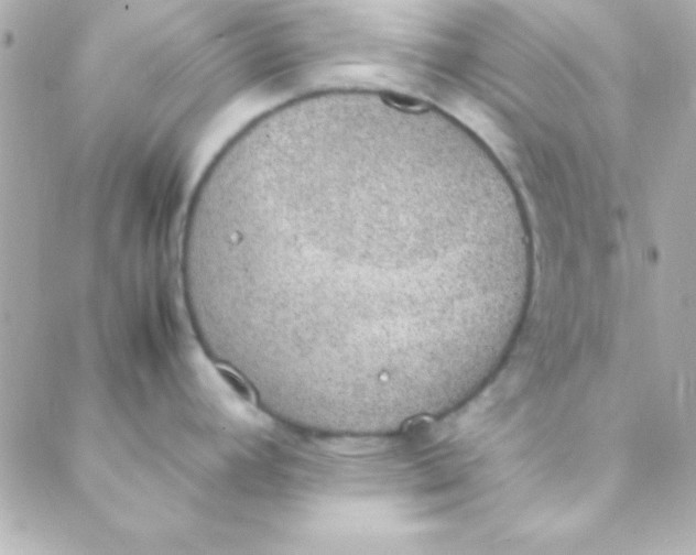 X0000088151392200705291412