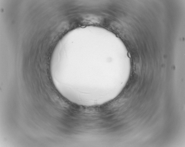 X0000088151393200705291411