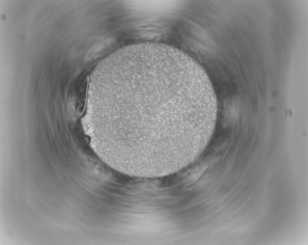 X0000088151394200705291411