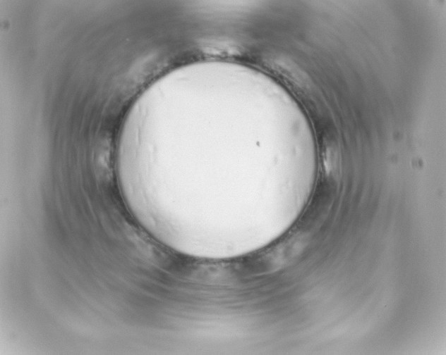 X0000088151396200705291411