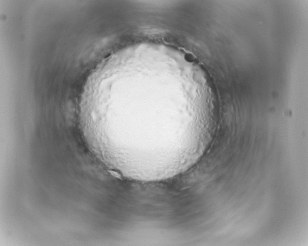 X0000088151397200705291411