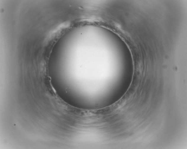 X0000088151398200705291411