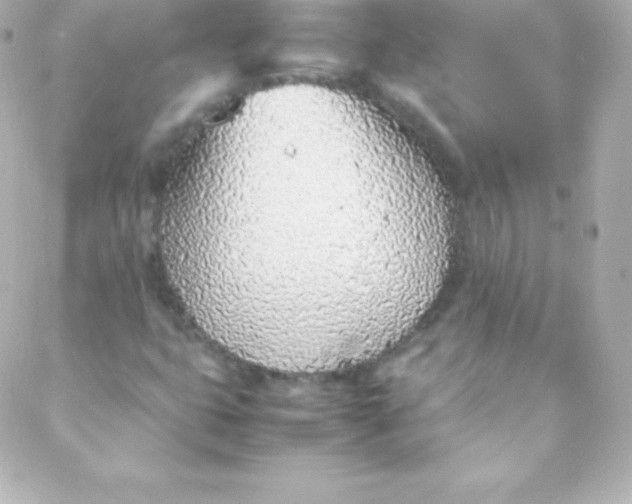 X0000088151399200705291411