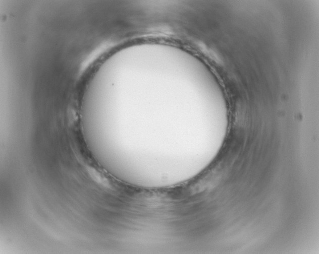 X0000088151400200705291411