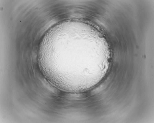 X0000088151401200705291411