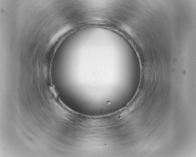 X0000088151402200705291411