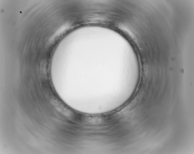 X0000088151403200705291411