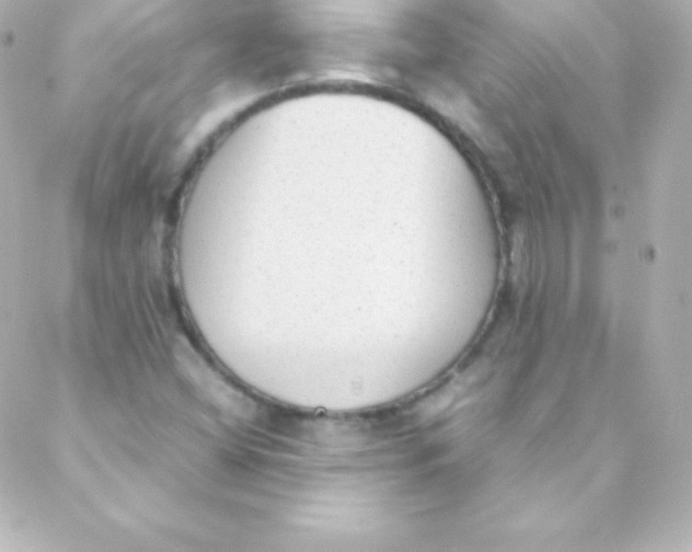 X0000088151404200705291411