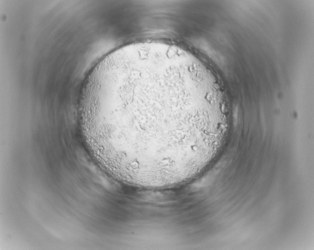 X0000088151405200705291411