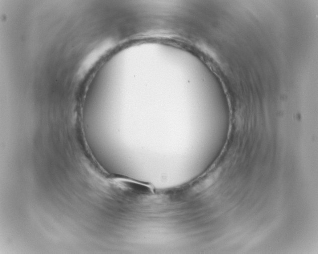 X0000088151406200705291411