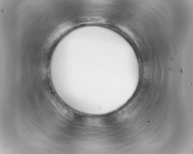 X0000088151407200705291411