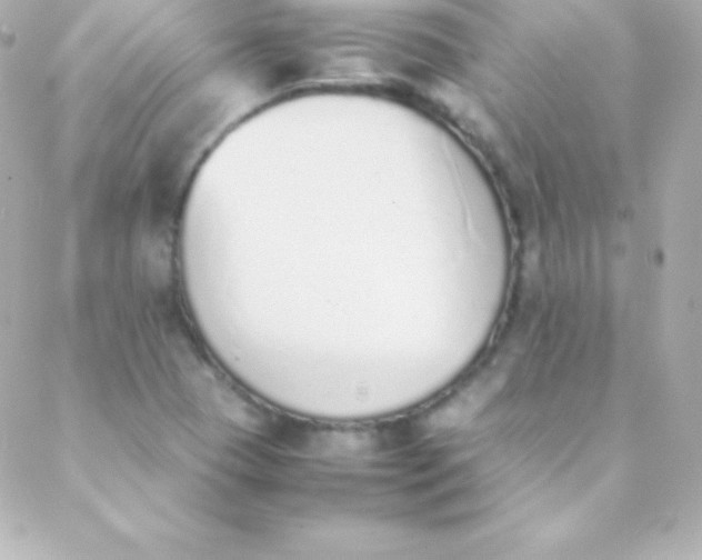 X0000088151409200705291411