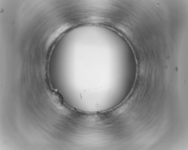 X0000088151410200705291411