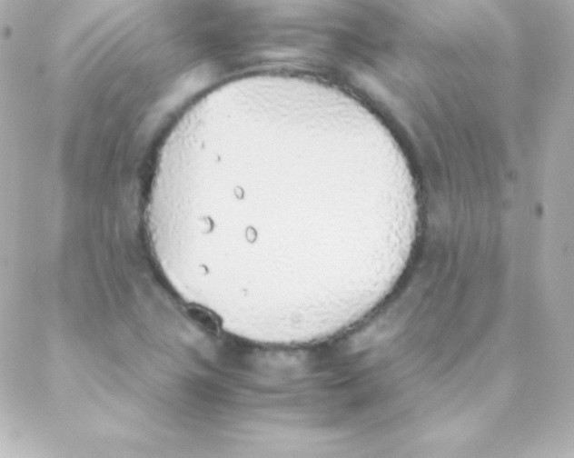 X0000088151411200705291411