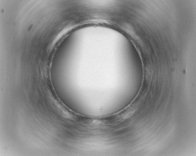 X0000088151412200705291411