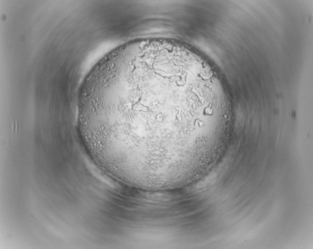 X0000088151413200705291411