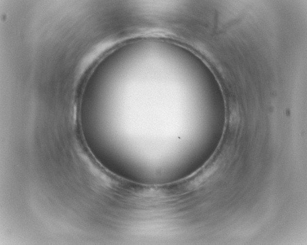 X0000088151414200705291411