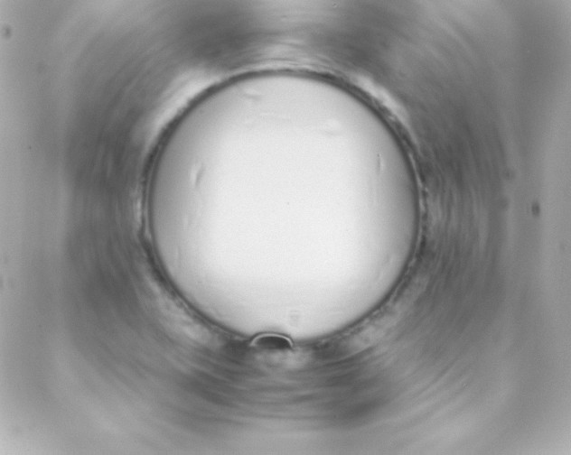 X0000088151415200705291411