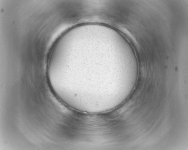 X0000088151416200705291411