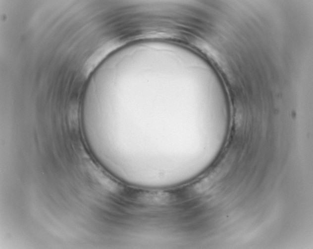 X0000088151417200705291411