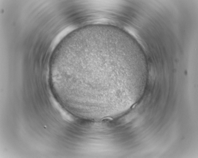 X0000088151418200705291411