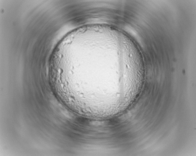 X0000088151419200705291411