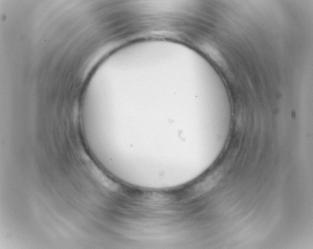 X0000088151420200705291411