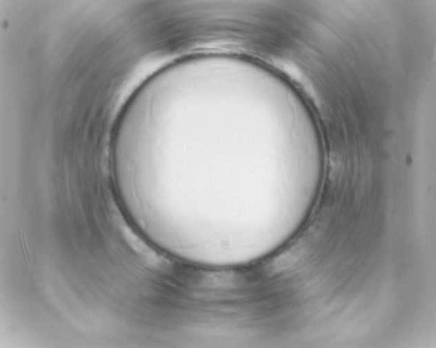 X0000088151421200705291411