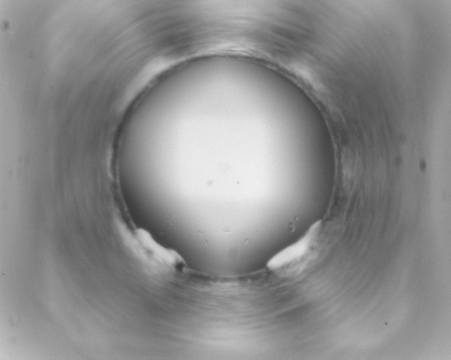 X0000088151422200705291411