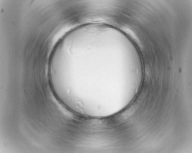 X0000088151424200705291411