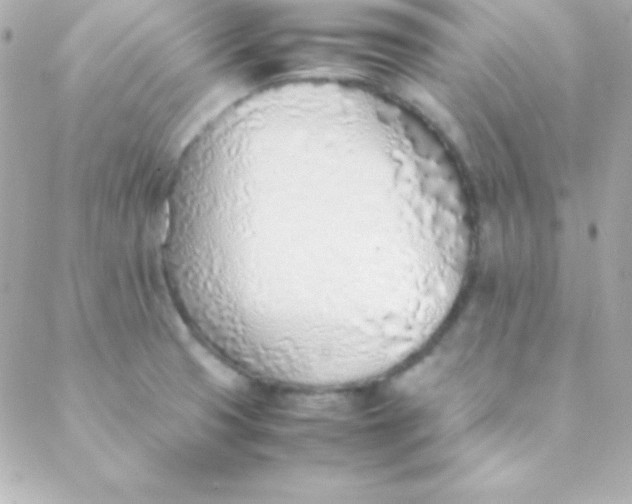 X0000088151425200705291411